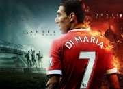 开云下载-字母哥爆发，黄蜂火力压制广厦队