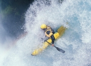 开云体育APP下载-霍勒迪末节封神！公牛爆冷黄蜂，无名英雄成胜负手