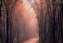 开云体育官方网站-跨界传奇，希腊铁骑横扫绿茵场，努涅斯之名响彻NBA总决赛