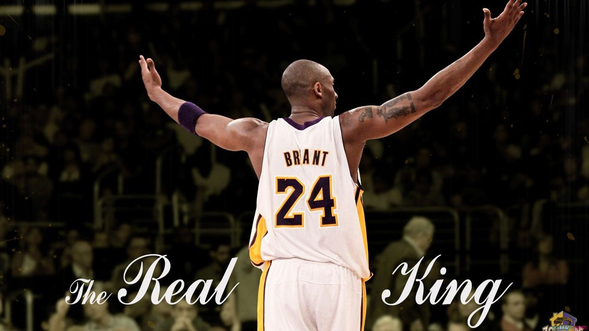 哈利伯顿的指挥艺术，魔术鏖战森林狼，节奏掌控者的交响诗